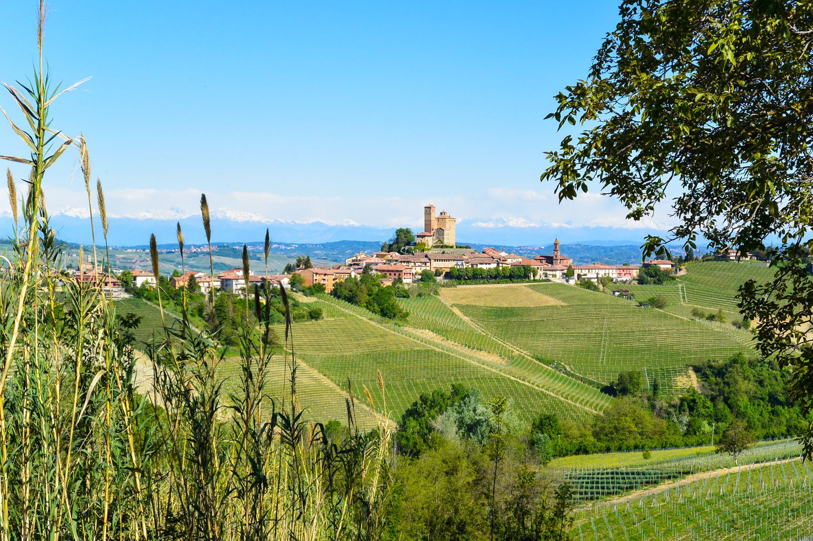 Visiter Serralunga d'Alba dans le piémont